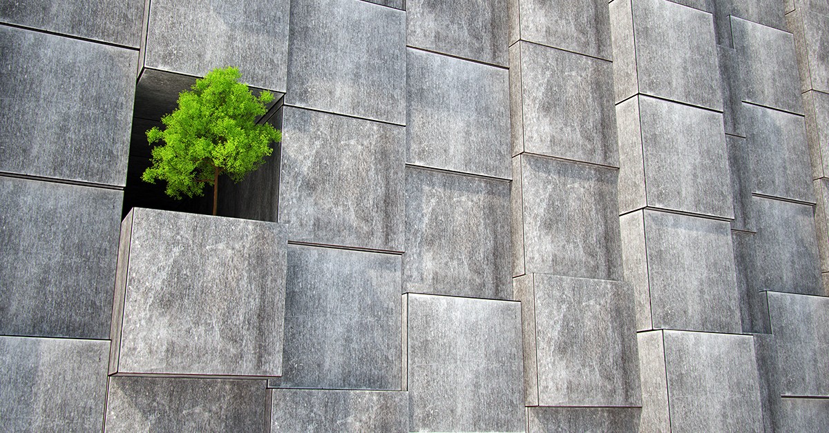 A cement wall with a green tree shown in one block.