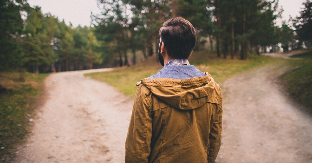 Man in woods looking at two paths