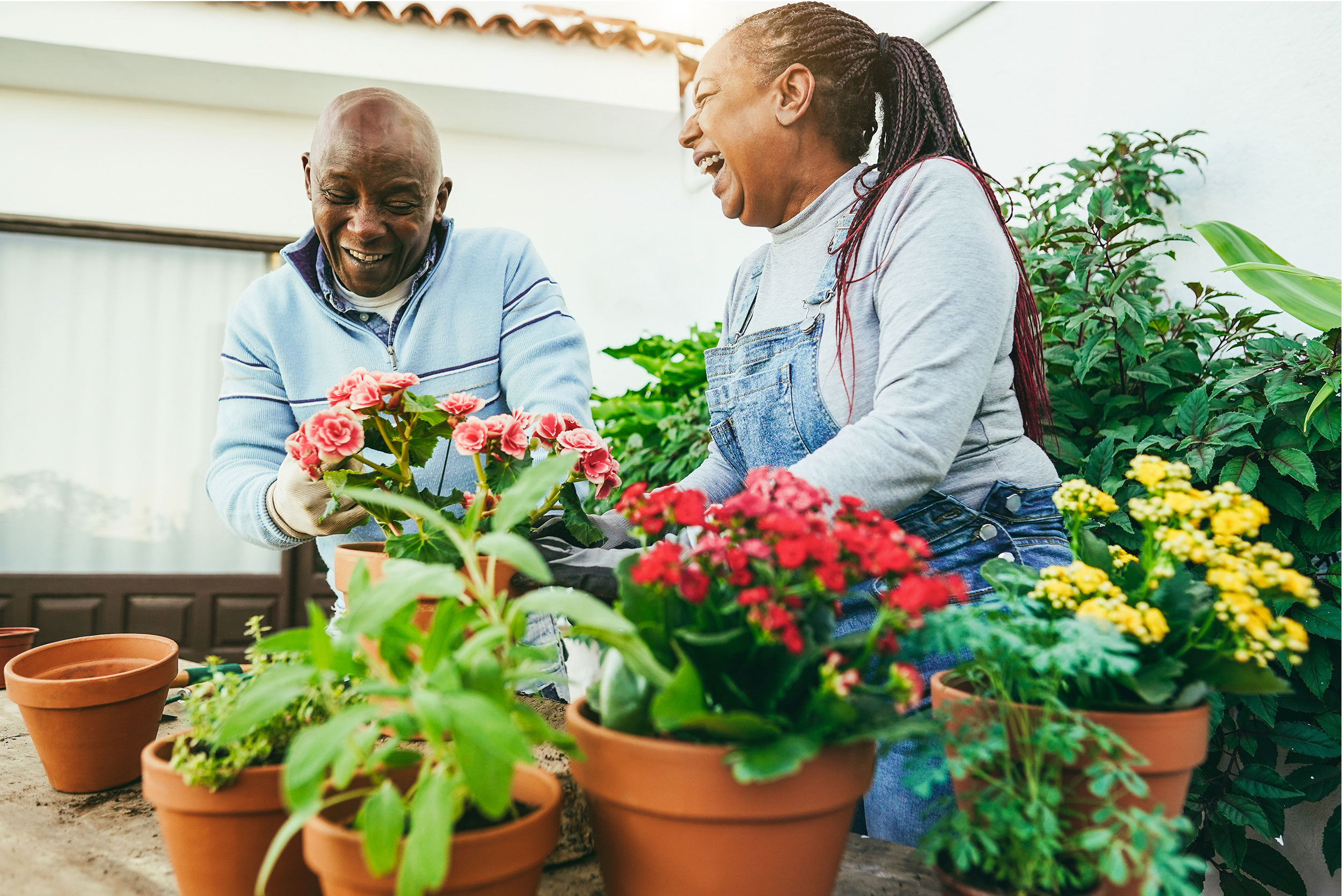 Smiling couple gardening together in an outdoor space filled with flowers and plants.